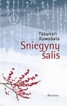 Sniegynų šalis