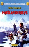 Našliadirbys