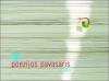 Poezijos pavasaris 2007