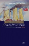 Jūros žvaigždė