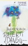 Nekantrauju patekti į dangų