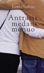 Antrasis medaus mėnuo