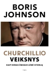 Churchillio veiksnys