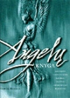 Angelų knyga