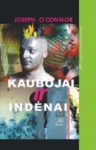 Kaubojai ir indėnai