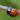 LadyBird
